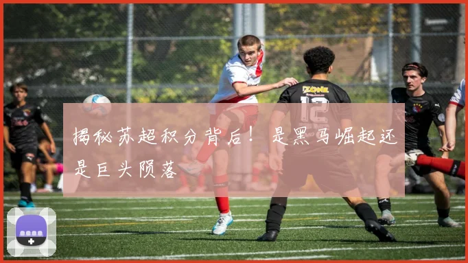 揭秘苏超积分背后！是黑马崛起还是巨头陨落